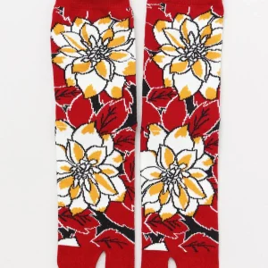 Chaussettes TABI - RO-IRO 23-25cm