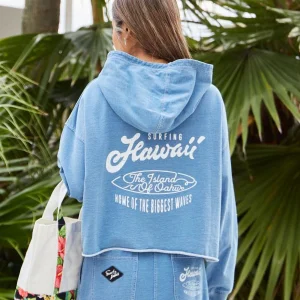 Sweat à capuche brossé SURF＆Palms