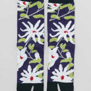 Chaussettes KOBUSHI TABI - 23-25 cm