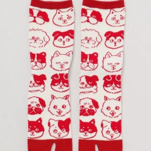 Chaussettes Tabi - Têtes de chien 23-25 cm