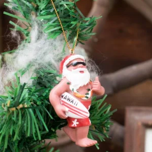 Décoration du Père Noël hawaïen