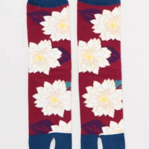Chaussettes KIKU TABI 23-25cm